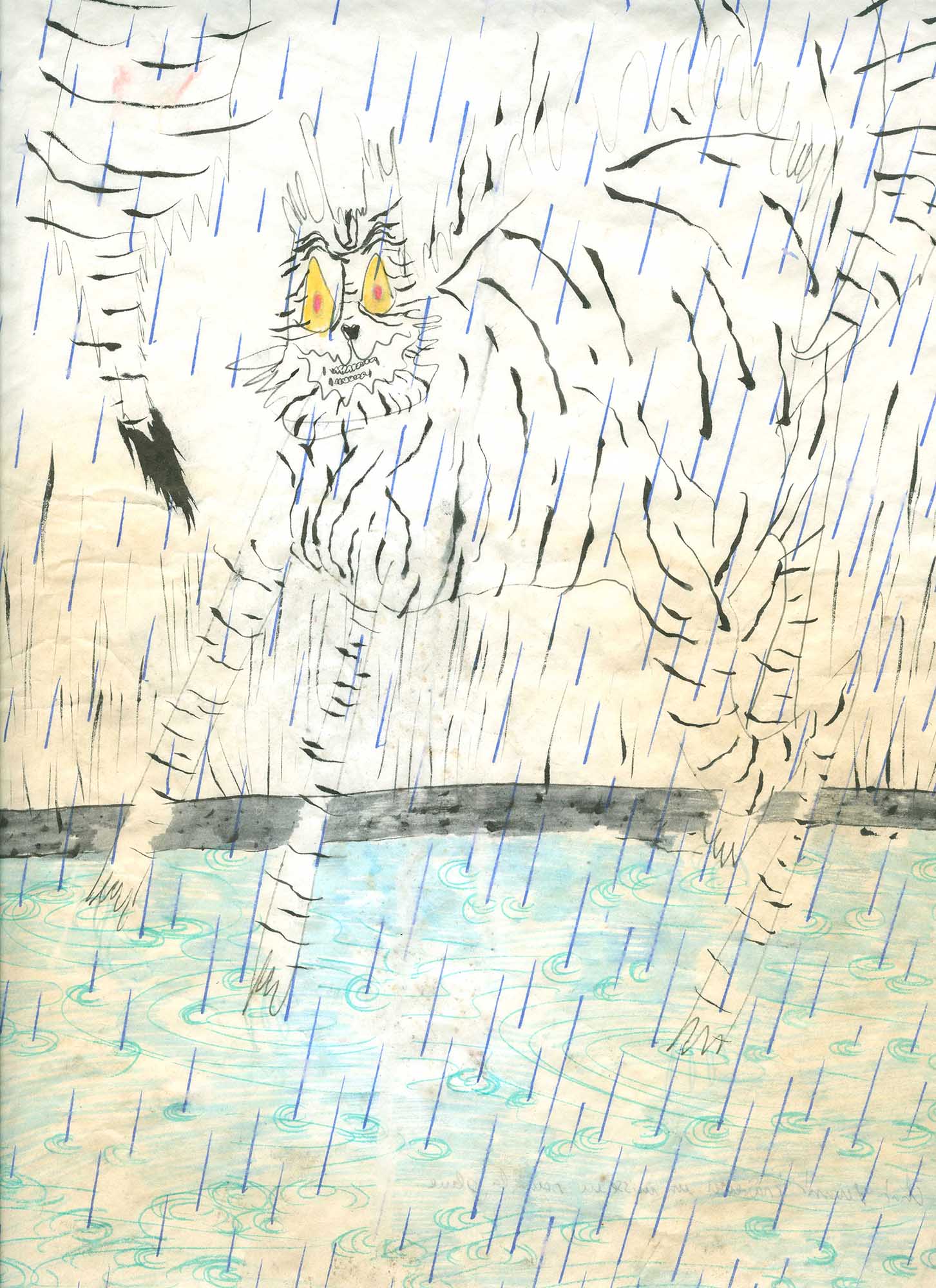 Chat traversant une flaque d’eau,
feutre sur papier
21 x 29,7 cm